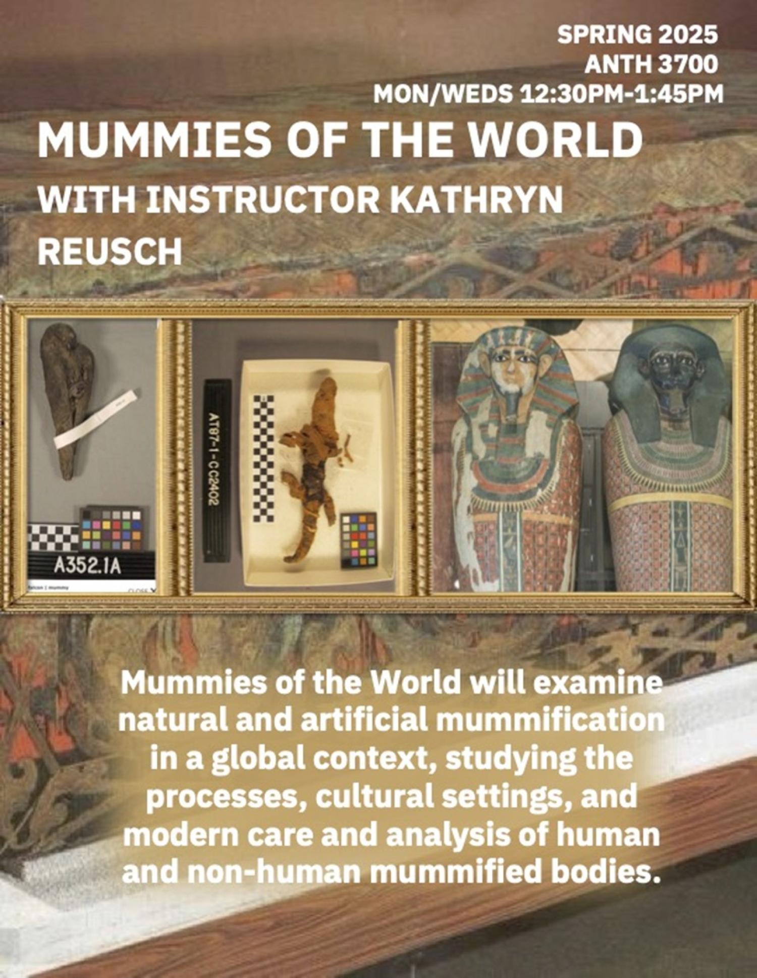 Mummies of the World