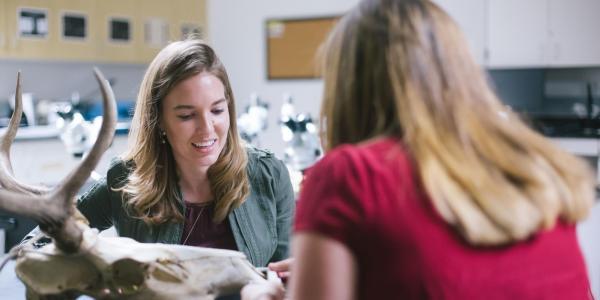 archaeological studies