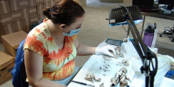 Student in the Minor program at work in the lab