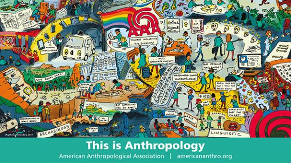 American Archeology Association
