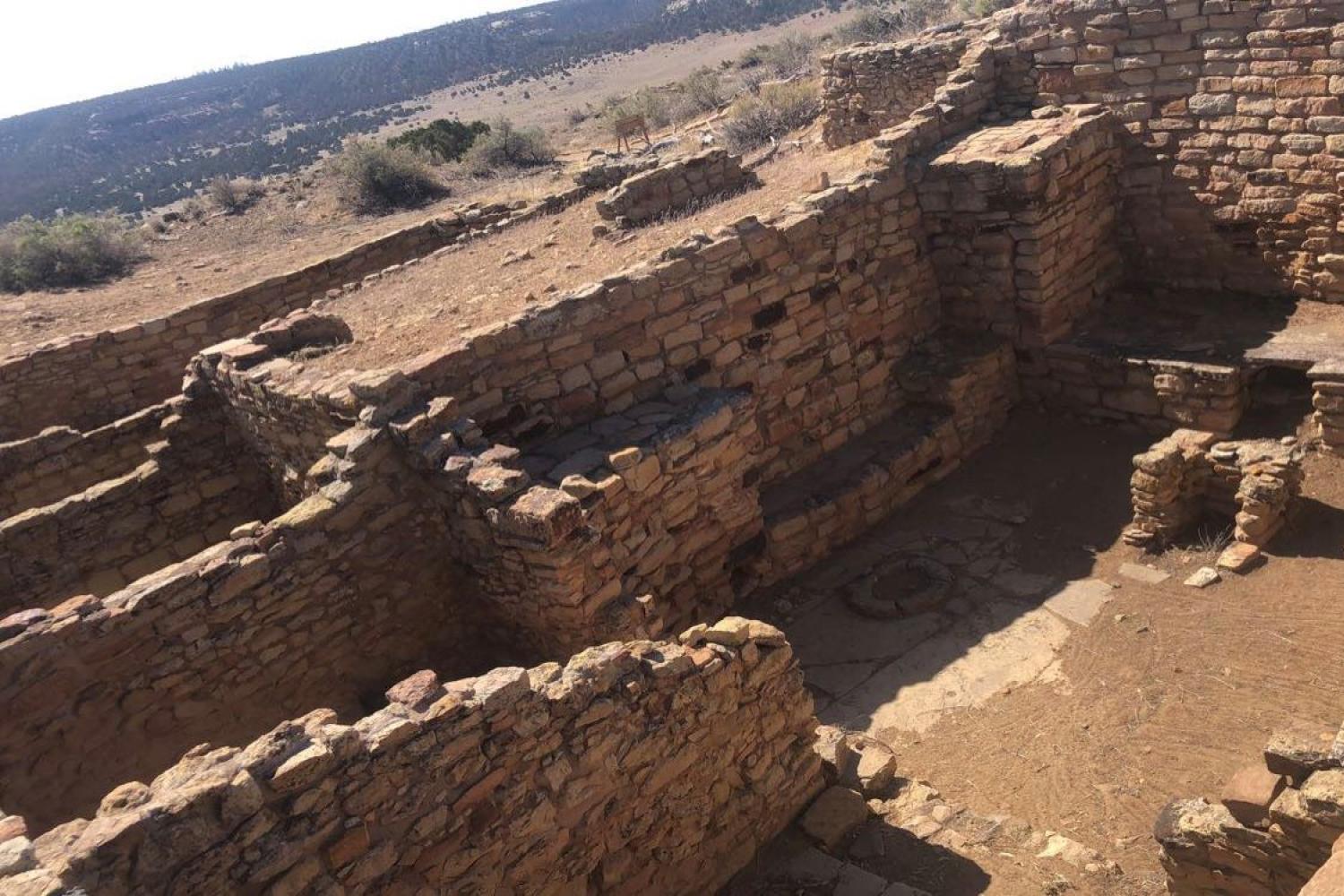 Contemporary Anthropological Site