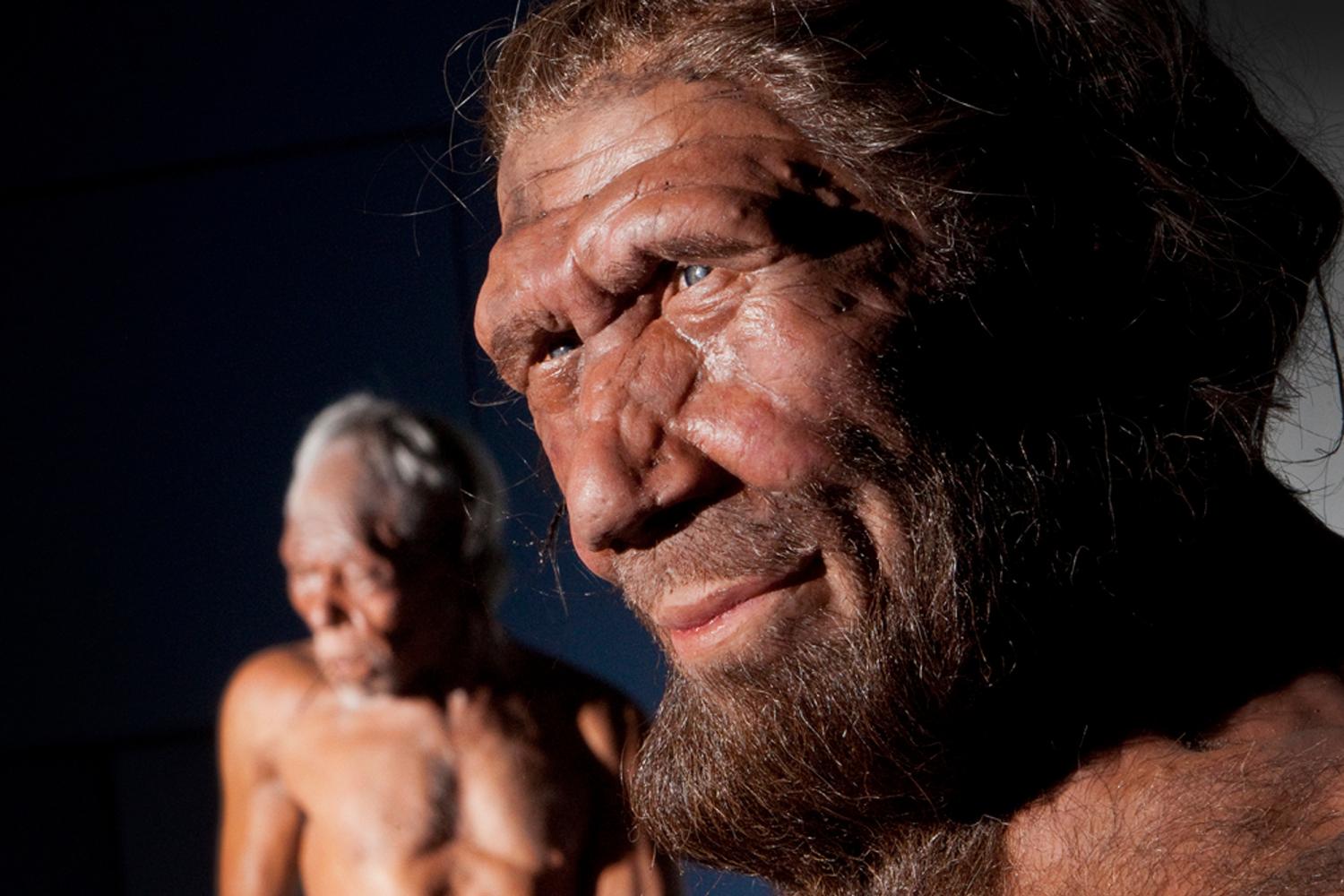Neanderthal