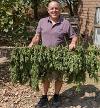 marty holding plants for drying