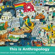 American Anthropology Association