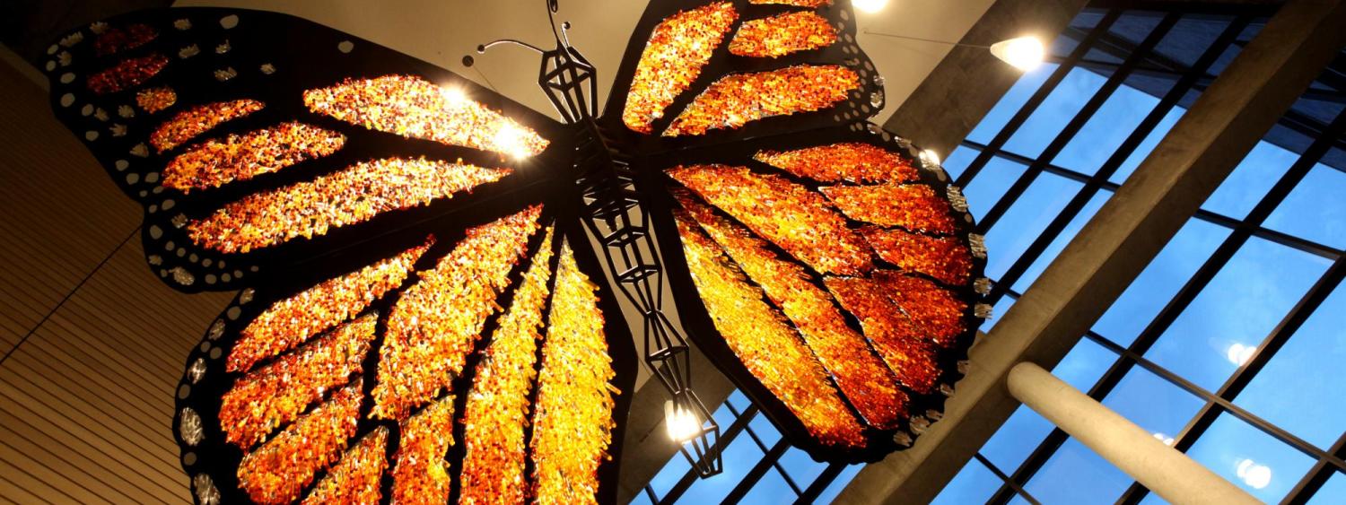 Science Building Butterfly