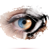 Dr. Jenny Vermilya's cover image of a human eye turning into a tiger eye from award-winning book, Identity, Gender, and Tracking: The Reality of Boundaries for Veterinary Students