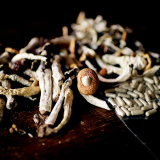 psychedelic mushrooms with pills