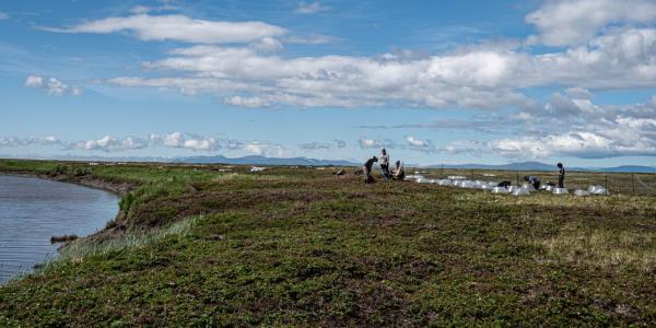Assistant Professor Katharine Kelsey in the Alaska countryside