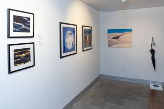 Wall of art on display