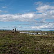 Assistant Professor Katharine Kelsey in the Alaska countryside