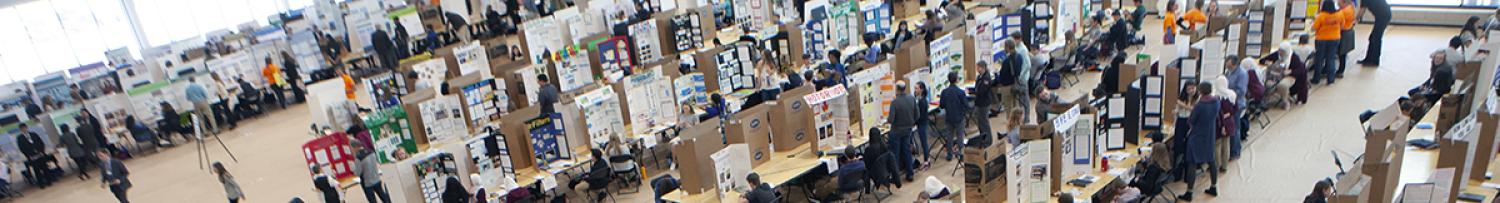 looking over the gym at the fair