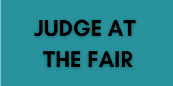 judge at the fair button