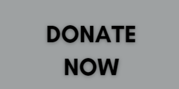 donate button