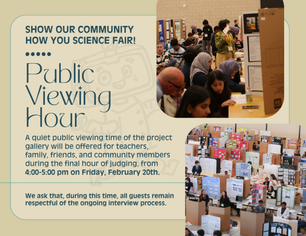 public visitation flyer