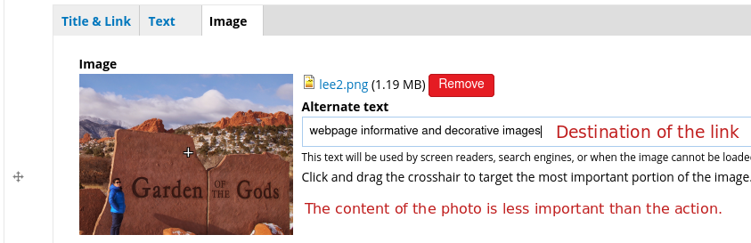 alt text settings for a functional image