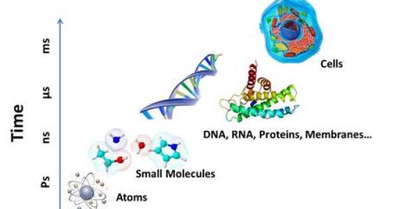 Example of a complex image showing a scientific diagram