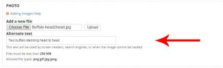Alternative text field in the Photo section