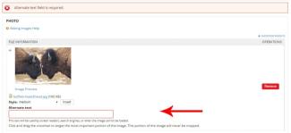 Example error when no alternative text is entered