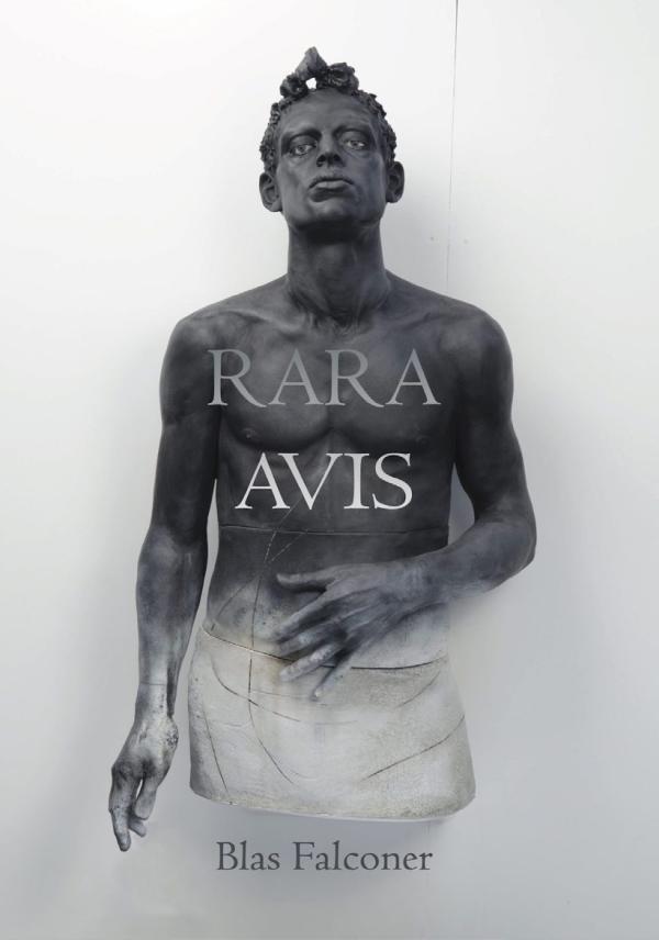 rara avis