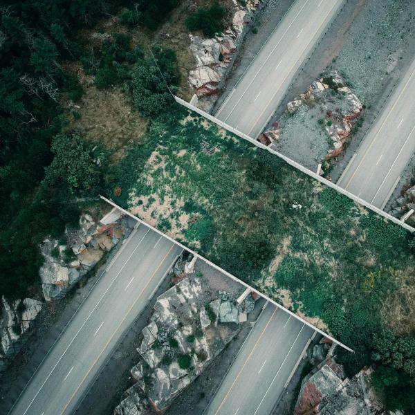 Aerial view of a green wildlife overpass.