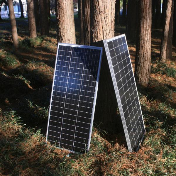 Solar panels with dark surfaces and white grid lines are propped against the base of a large tree.