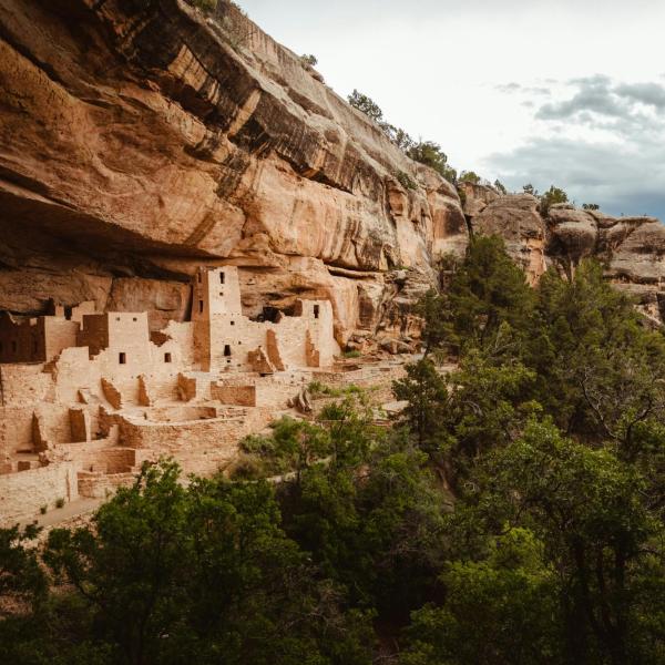Cliff Palace, a large Ancestral Pueblo cliff dwelling built into a massive sandstone alcove.