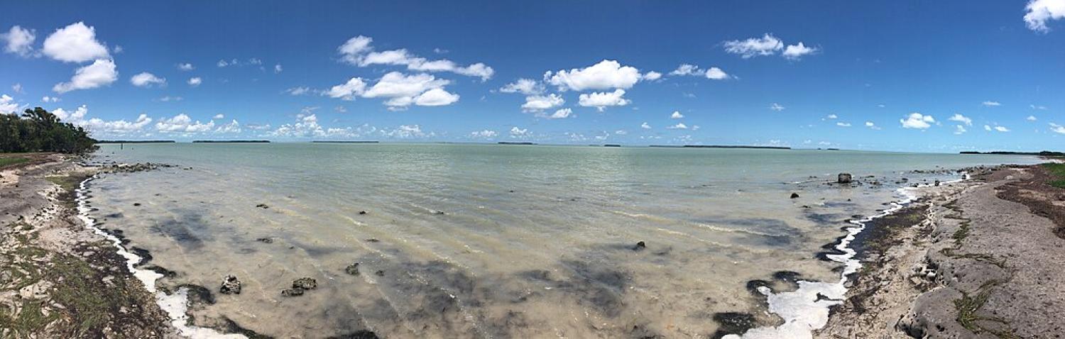 A wide coastal shoreline with shallow, calm turquoise water under a bright blue sky with scattered clouds.