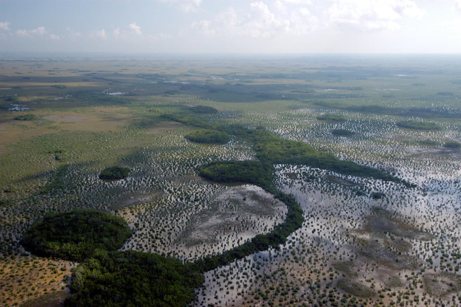 Aerial view of a vast wetland landscape with scattered small trees and patches of darker, denser vegetation. Shallow water reflects sunlight, and the horizon stretches into a hazy sky.