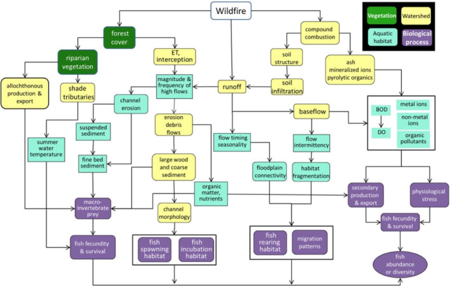Flowchart illustrating wildfire impacts on ecosystems, showing connections between factors like vegetation, runoff, and fish habitats, with color-coded sections.