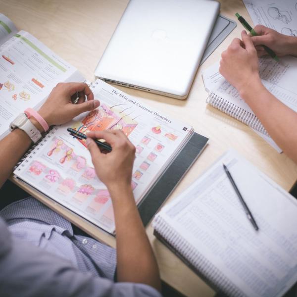 An aerial view of three students studying academic textbooks