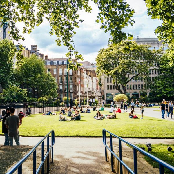 People relax and gather on a sunny lawn in a city park surrounded by trees and buildings.