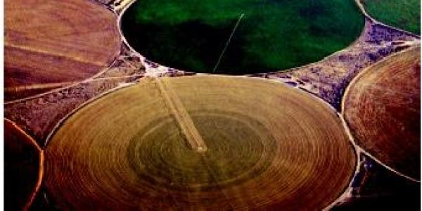 Aerial view of circular crop fields in varying shades of green and brown, arranged in a patchwork pattern, showcasing agricultural diversity and design.