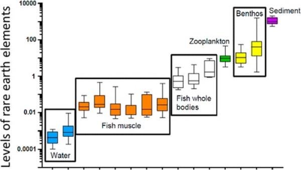  lowest in water, increasing through fish muscle, fish whole bodies, zooplankton, benthos, and highest in sediment. Logarithmic scale used on the y-axis.