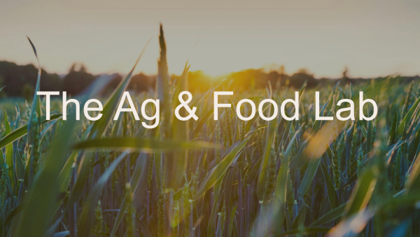 Sunlit field of green crops at golden hour with text “The Ag & Food Lab” overlayed.