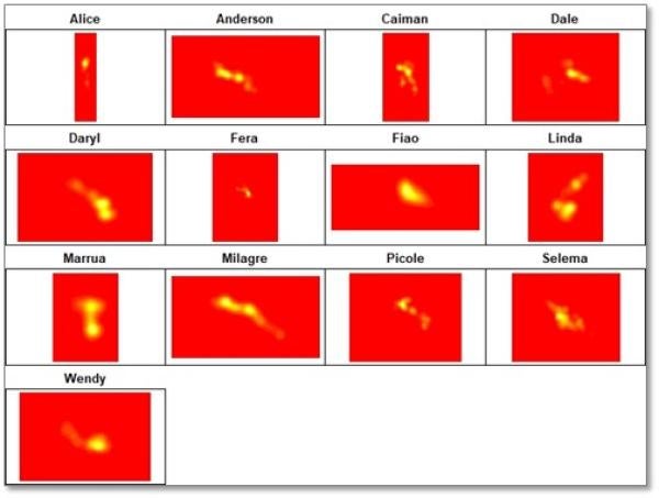 Bivariate images for each of the 13 jaguars showing their individual kernel density estimates.