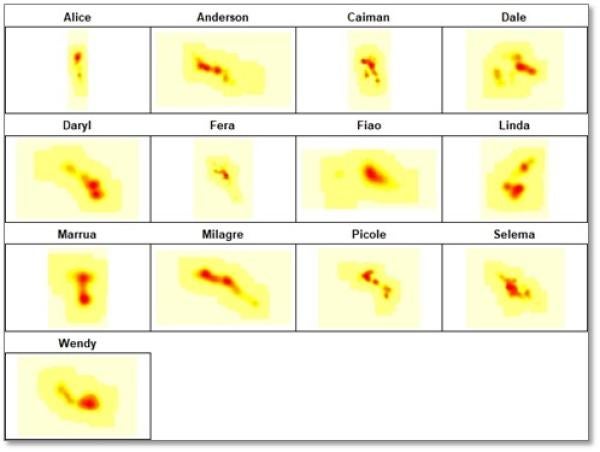 Raster images for each of the 13 jaguars showing distribution across a surface indicating hame ranges.