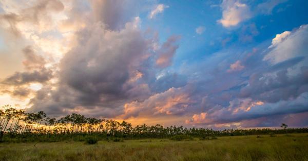 Sunset sky with dramatic clouds over a grassy plain and a distant line of tall, thin trees.