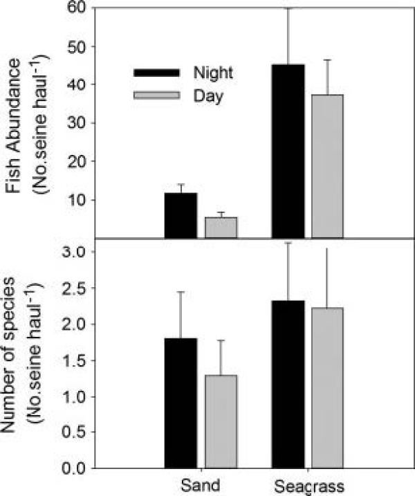 Bar charts comparing fish abundance and species number in sand vs. seagrass habitats during day and night. Seagrass sites show much higher fish abundance and slightly higher species diversity than sand habitats.