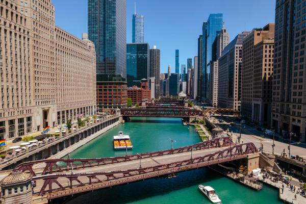 The Development of the Chicago River’s Three Branches | Geography and ...