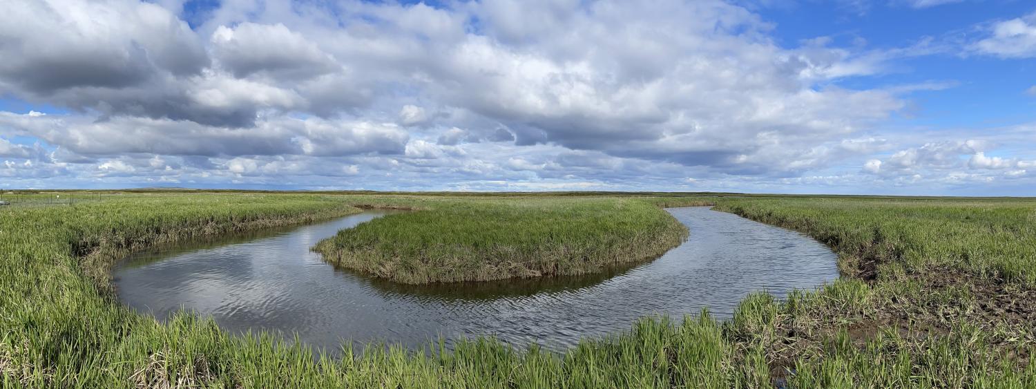 A meandering tidal creek winding through a flat green wetland marsh under a partly cloudy blue sky, with a wide, open horizon stretching into the distance.