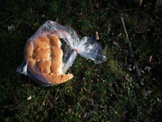 A partially eaten round loaf of bread in a clear plastic bag lying on grass and scattered leaves outdoors. Photo by CandreK on Unsplash.