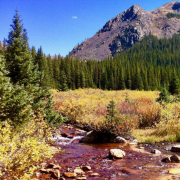 A clear stream flows through a vibrant meadow with autumn colors, surrounded by dense fir trees. A rugged mountain under a blue sky looms in the background.