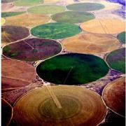 Aerial view of circular crop fields in varying shades of green and brown, arranged in a patchwork pattern, showcasing agricultural diversity and design.