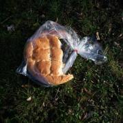 A partially eaten round loaf of bread in a clear plastic bag lying on grass and scattered leaves outdoors. Photo by CandreK on Unsplash.