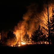 Nighttime forest fire with trees silhouetted against bright orange flames and smoke, creating an intense and dramatic scene. Photo by Egor Vikhrev on Unsplash.