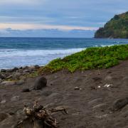 A black sand volcanic beach with rounded basalt rocks, driftwood, and low coastal vegetation, with turquoise waves and a lush green headland under a cloudy sky. Photo by Ines W on Unsplash.