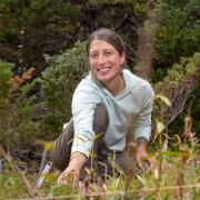 Claire Parsons '25 works at one of her plots at the University of Colorado Mountain Research Station.