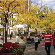 Busy downtown Denver street scene in autumn with people walking past yellow-leaved trees, bordered by tall buildings. The atmosphere is vibrant and bustling.