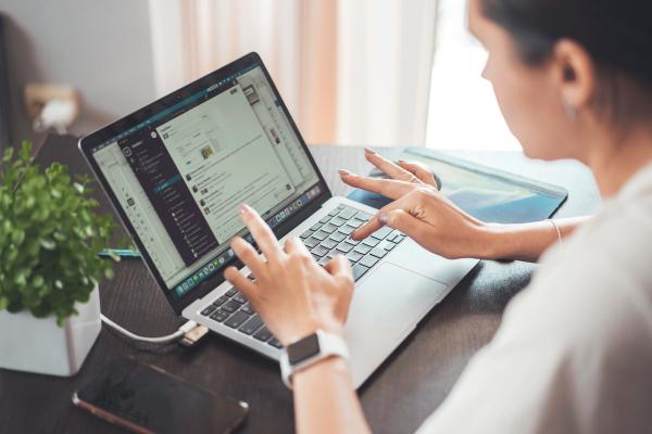 Online Minor in History 