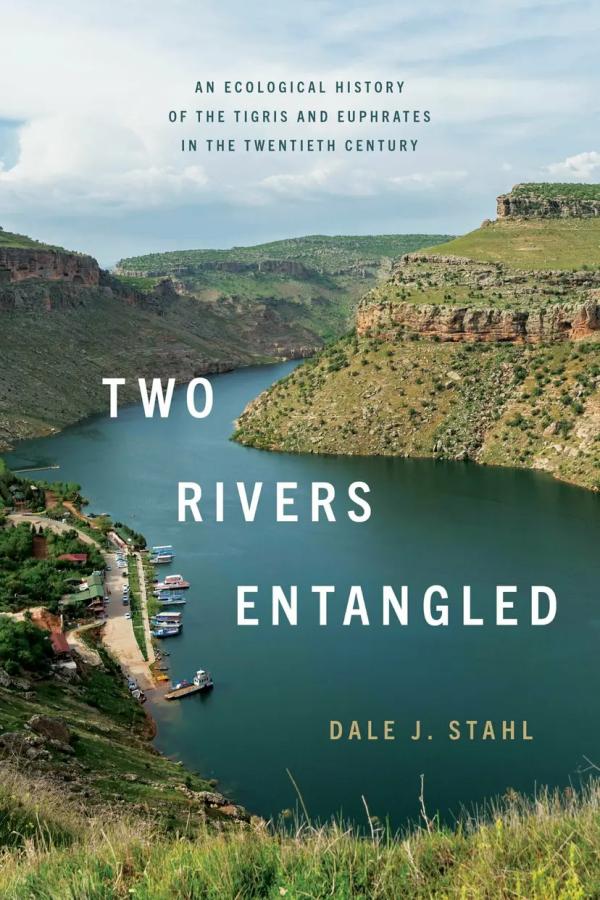 Cover of Two Rivers Entangled